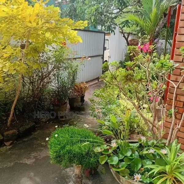 (CPS1019) 1st Floor Valueble House for Sale in Bokundara