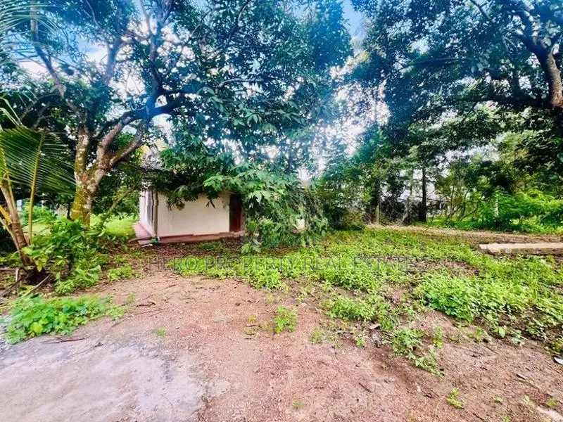 (NSR1040)පර්චස් 60ක බිම් කොටසක් කොට්ටාව හොරහේන ප්‍රදේශයෙන් කුලියට දීමට