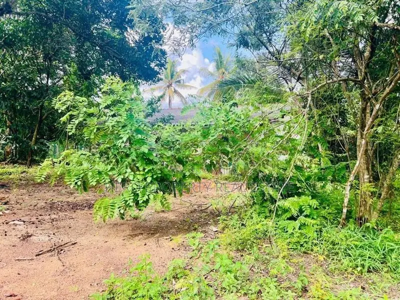 (NSR1040)පර්චස් 60ක බිම් කොටසක් කොට්ටාව හොරහේන ප්‍රදේශයෙන් කුලියට දීමට