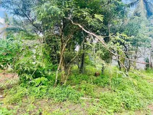 (NSR1040)පර්චස් 60ක බිම් කොටසක් කොට්ටාව හොරහේන ප්‍රදේශයෙන් කුලියට දීමට