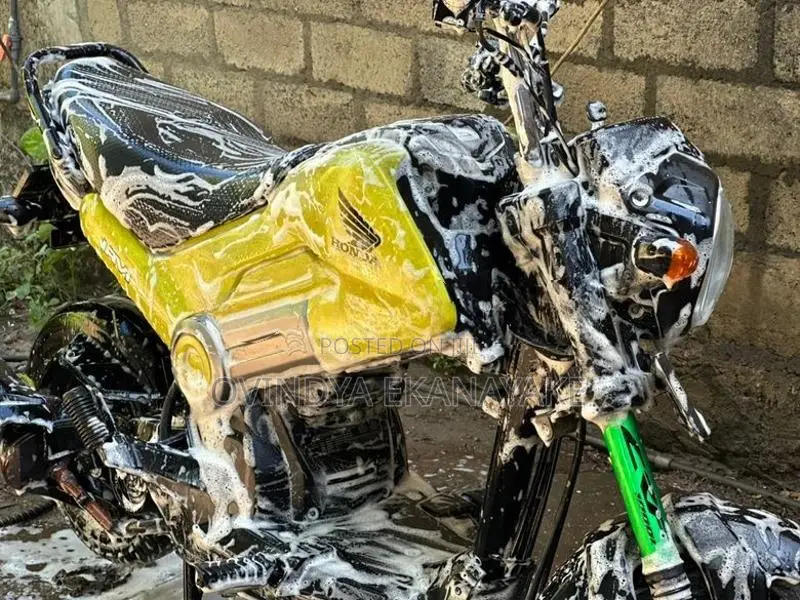 Honda Navi 2019