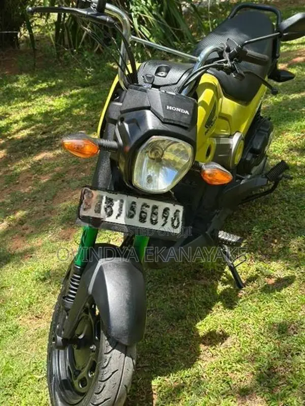 Honda Navi 2019