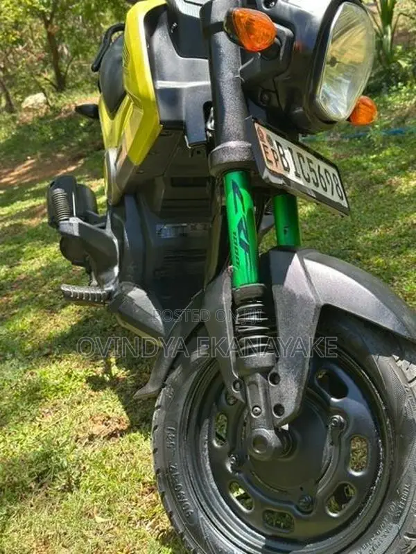 Honda Navi 2019