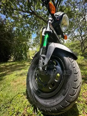 Honda Navi 2019