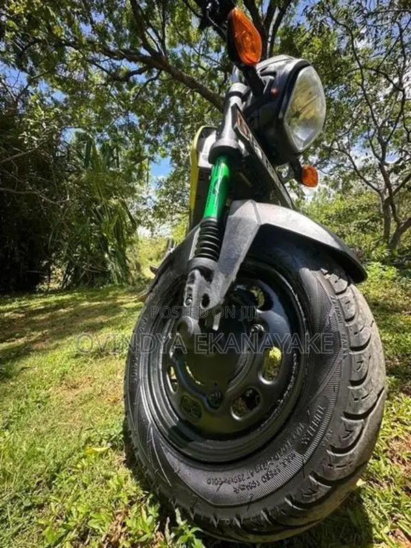 Honda Navi 2019