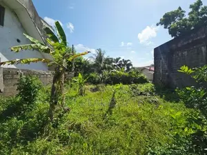 10.44P Bare Land For Sale In Piliyandala