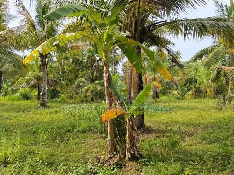 Narammala Land for Sale