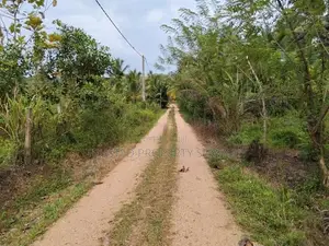 Narammala Land for Sale