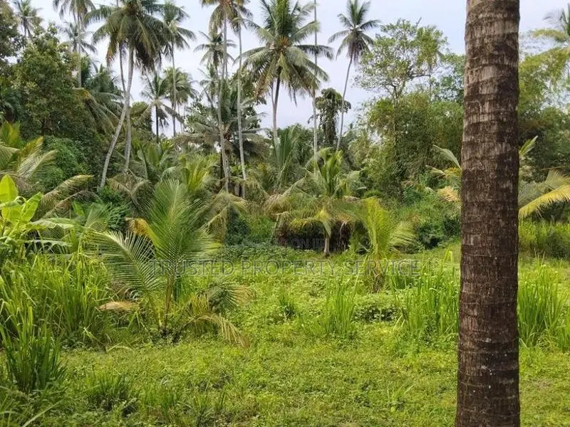 Narammala Land for Sale
