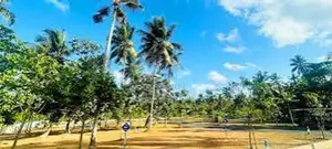 නේවාසික බිම් කොටස් කිහිපයක් විකිණීමට පොල්ගස්ඕවිට
