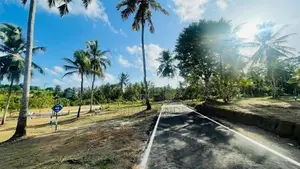 නේවාසික බිම් කොටස් කිහිපයක් විකිණීමට පොල්ගස්ඕවිට
