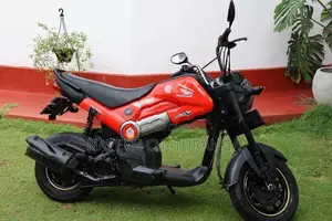 Honda Navi 2017