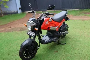 Honda Navi 2017