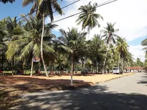 බලල්ල Land Sale