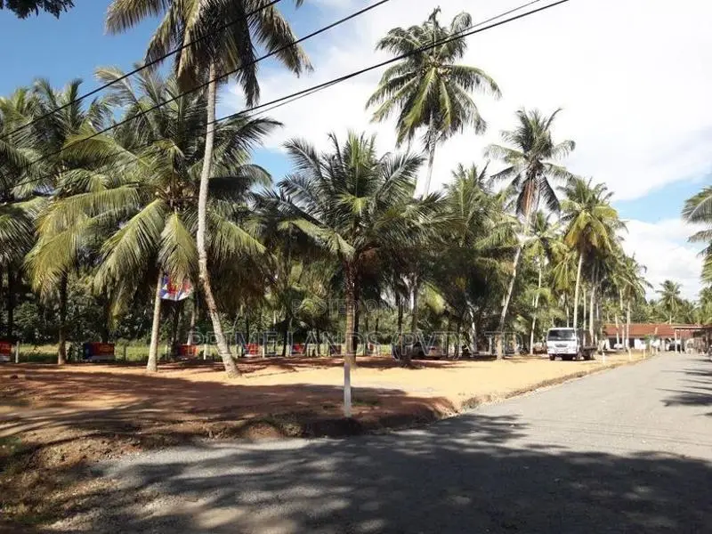 බලල්ල Land Sale