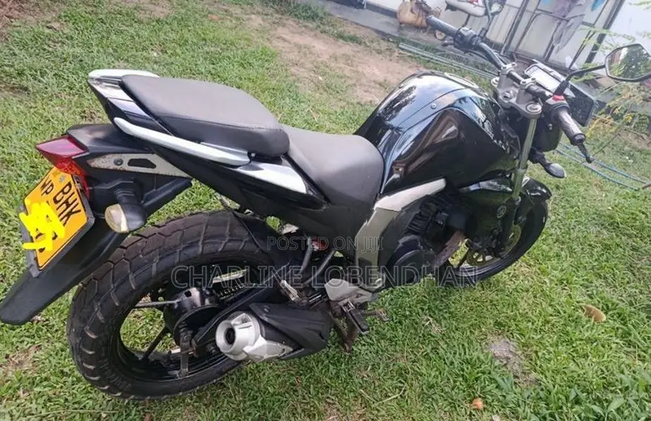 Yamaha FZs V2 2018