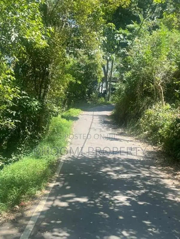 Land for Sale in Digana