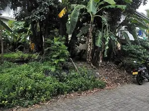 High Residential Land for Sale Borelesgamuwa