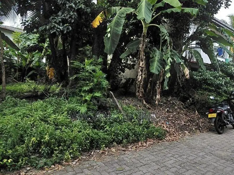 High Residential Land for Sale Borelesgamuwa