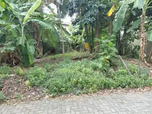 High Residential Land for Sale Borelesgamuwa