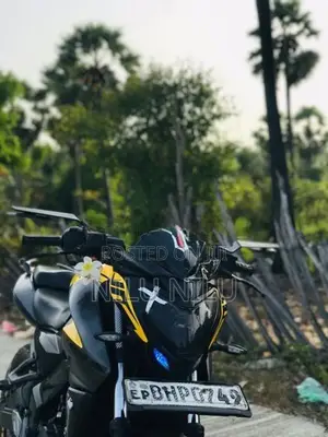 Bajaj Pulsar NS200 2019