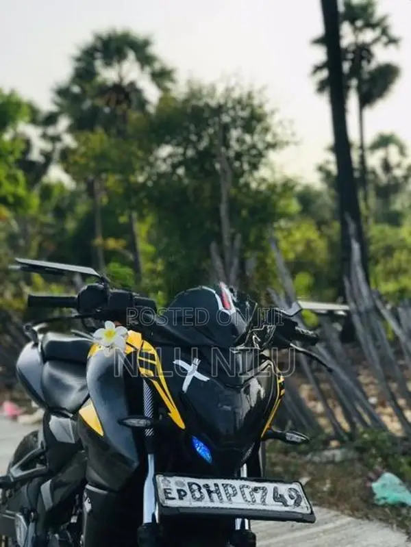 Bajaj Pulsar NS200 2019