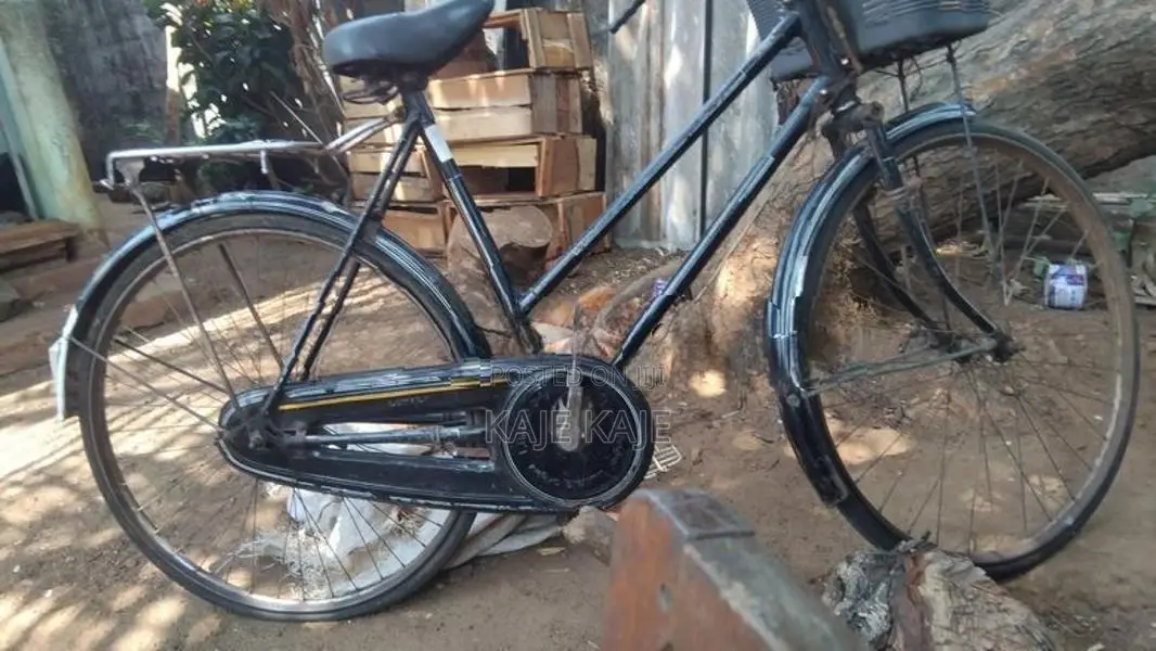 Bicycle