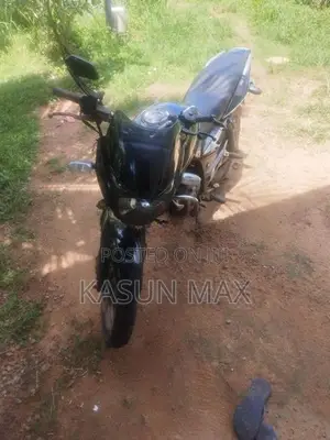 Bajaj Pulsar 150 2009
