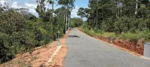 අම්බලන්ගොඩ නගර සභා සීමාවෙන් අගනා නේවාසික බිම් කොටස්