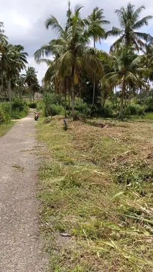 නාරම්මල මැටියගනේ ඉඩමක් විකිණීමට