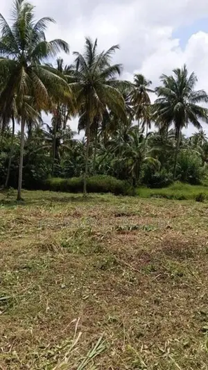 නාරම්මල මැටියගනේ ඉඩමක් විකිණීමට