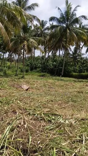 නාරම්මල මැටියගනේ ඉඩමක් විකිණීමට