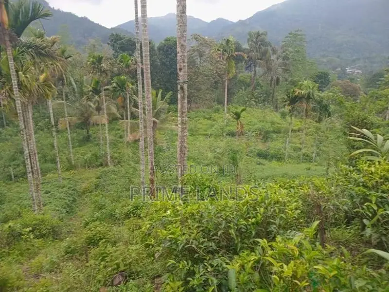 Land for Sale Nawalapitiya