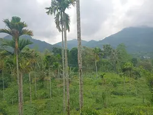 Land for Sale Nawalapitiya