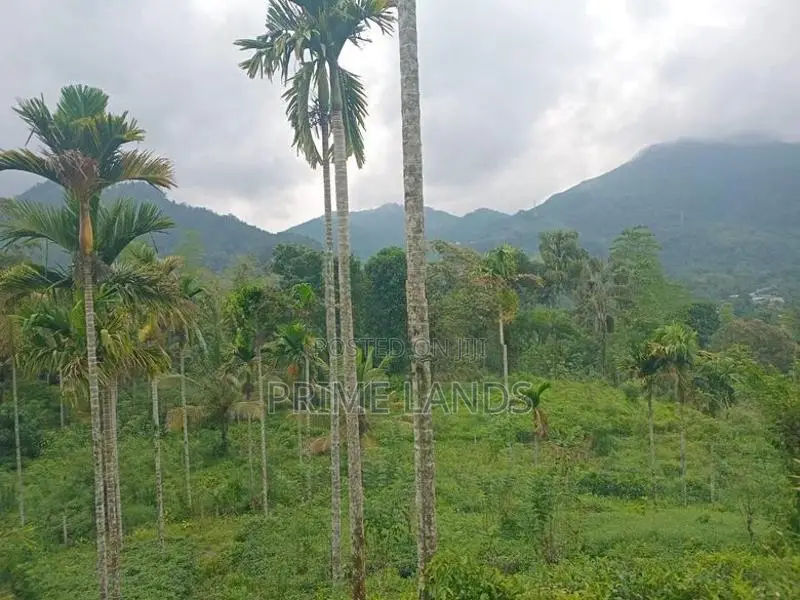 Land for Sale Nawalapitiya