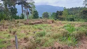 Land for Sale Nawalapitiya