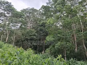 Land for Sale Pussellawa