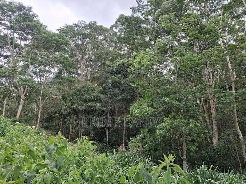Land for Sale Pussellawa