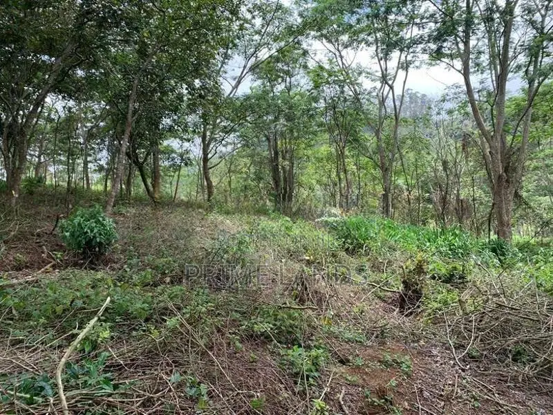Land for Sale Pussellawa