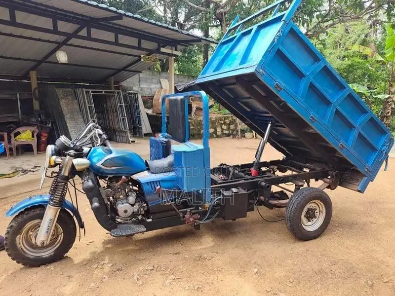 Dayun Tricycle Van 2018