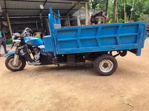 Dayun Tricycle Van 2018