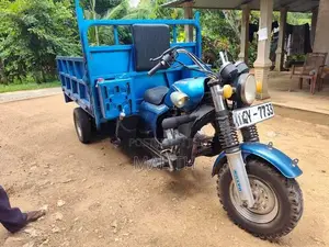 Dayun Tricycle Van 2018