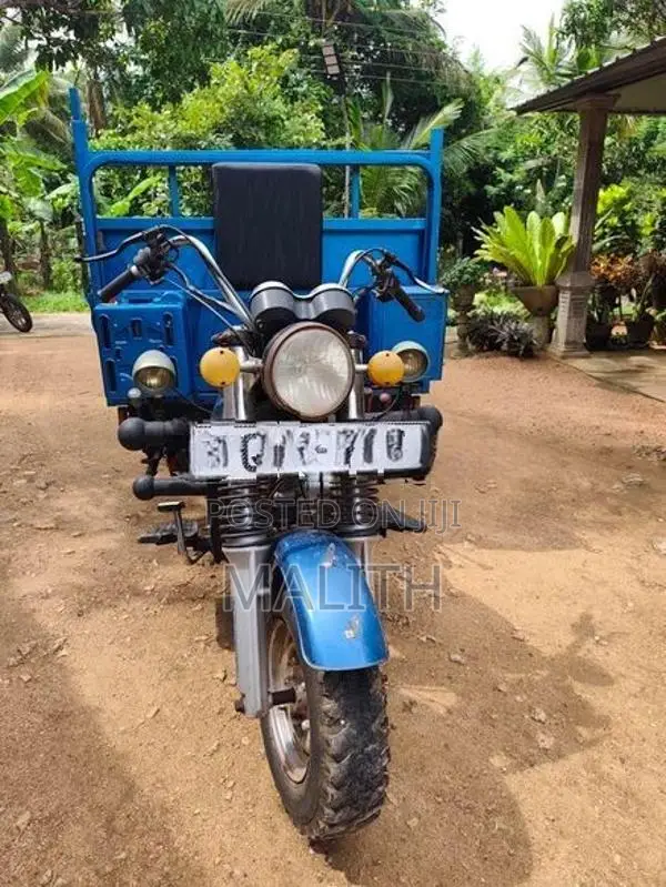 Dayun Tricycle Van 2018