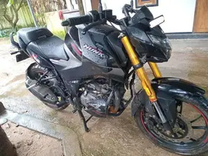 Hero Hunk 160R 2025