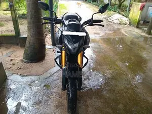 Hero Hunk 160R 2025