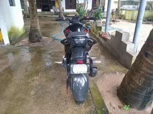 Hero Hunk 160R 2025