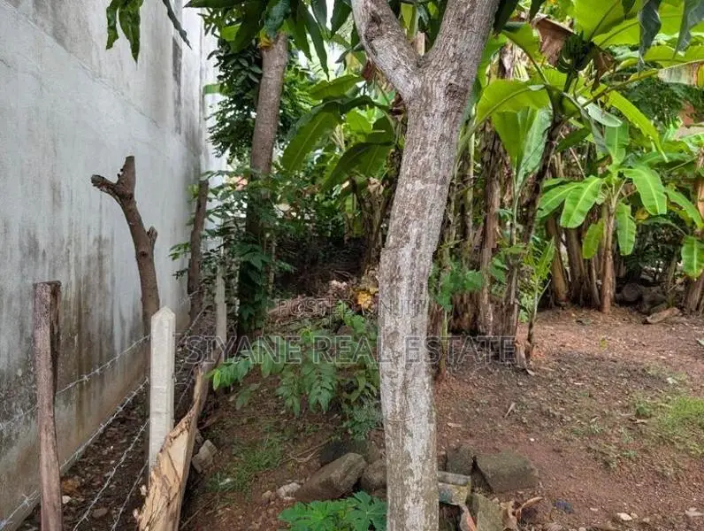 Prime Land for Sale - Liyanage Road Dehiwela