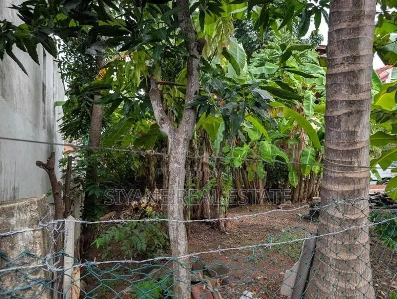 Prime Land for Sale - Liyanage Road Dehiwela