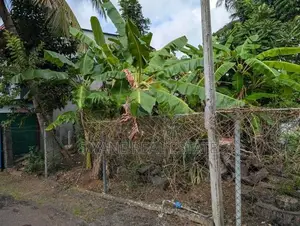 Prime Land for Sale - Liyanage Road Dehiwela