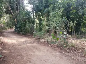 Green Paradise , Badalkumbura,Monaragala Land for Sale